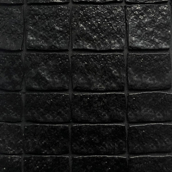 Black turtle