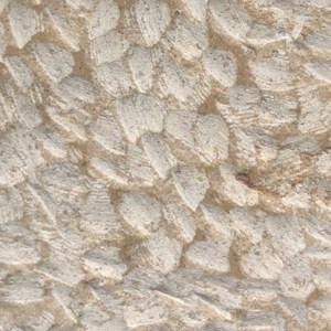 Corton Limestone finish - textured